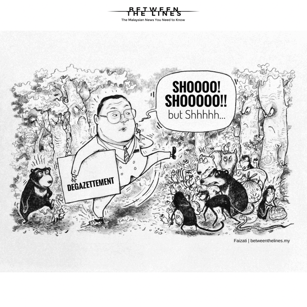 The KLNFR degazettement debacle