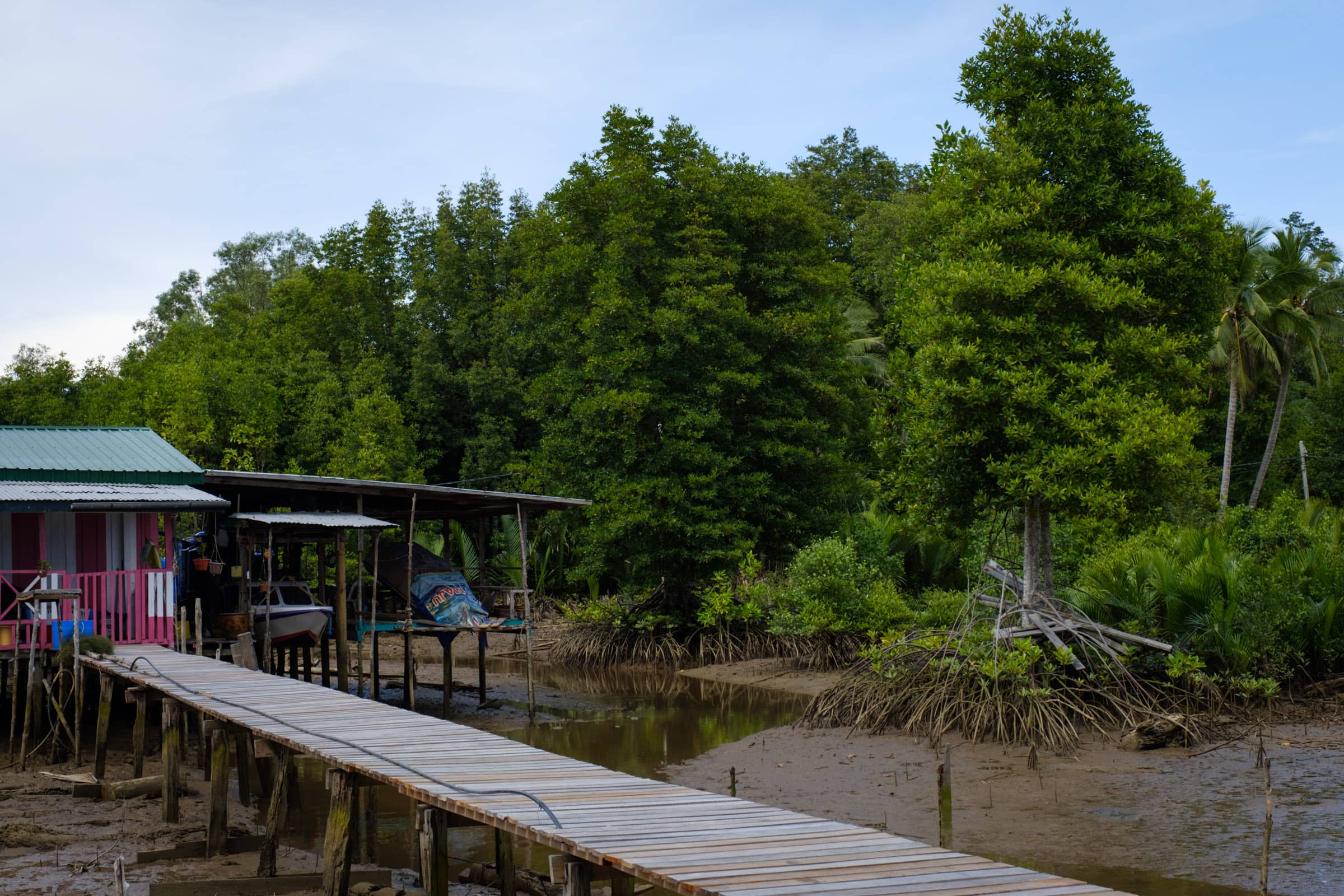 Wooden homes in Mumiang built on stilts among mangroves.