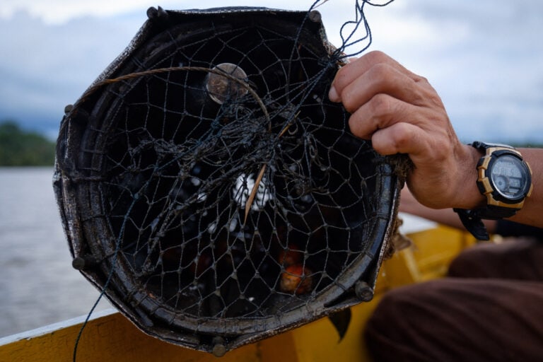 Fisherfolk in Dagat also use oil palm fruits as bait