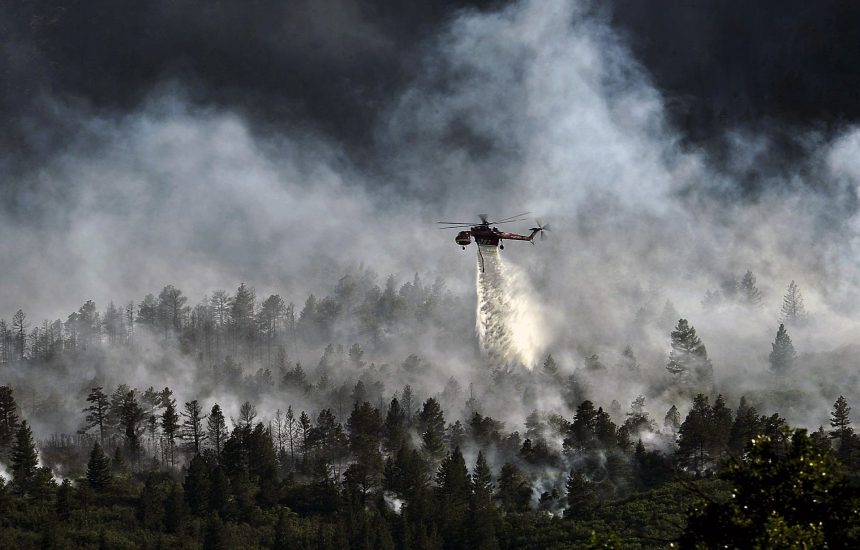 forest-firefighting-helicopter