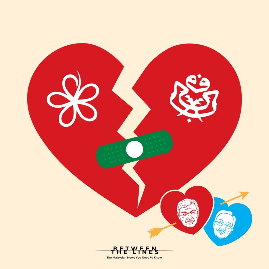Umno & Bersatu: Love Story or Friends With Benefits?